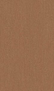 BW011 - Big Wood